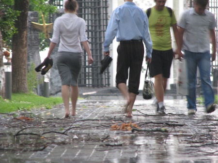 Країна мрій 2010