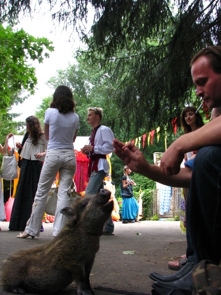 Країна мрій 2010